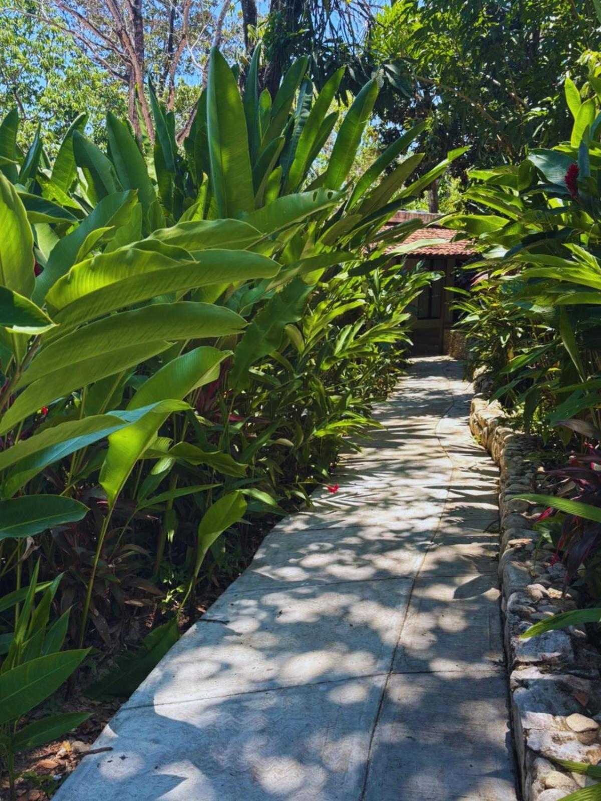 La Aldea Del Halach Huinic Hotel Palenque